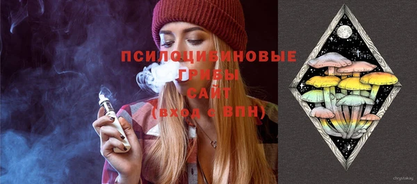 бошки Абаза